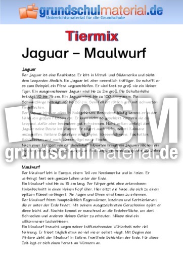 Jaguar - Maulwurf.pdf